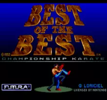 Image n° 4 - screenshots  : Best of the Best - Championship Karate